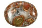 Polished King Cobra Orbicular Jasper Pocket Stones - Photo 4